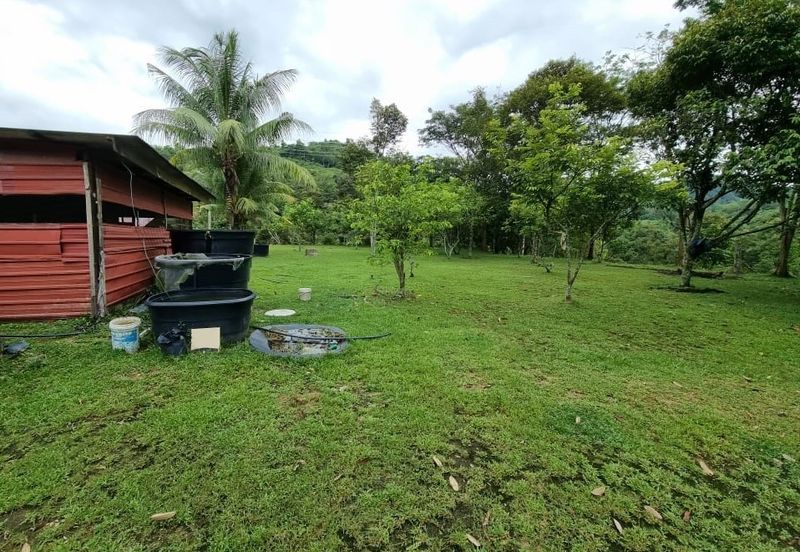 Tanah Kebun 3.02 Ekar Kampung Kapal, Lenggeng, Negeri Sembilan