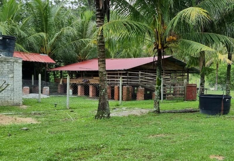 Tanah Kebun 3.02 Ekar Kampung Kapal, Lenggeng, Negeri Sembilan