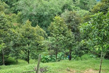 Tanah Kebun 3.02 Ekar Kampung Kapal, Lenggeng, Negeri Sembilan