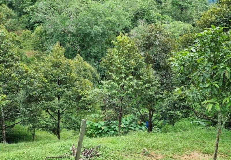 Tanah Kebun 3.02 Ekar Kampung Kapal, Lenggeng, Negeri Sembilan