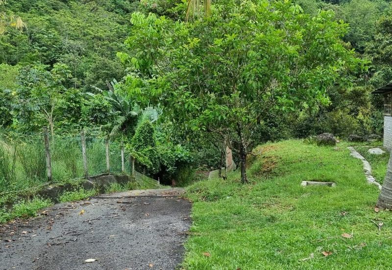 Tanah Kebun 3.02 Ekar Kampung Kapal, Lenggeng, Negeri Sembilan