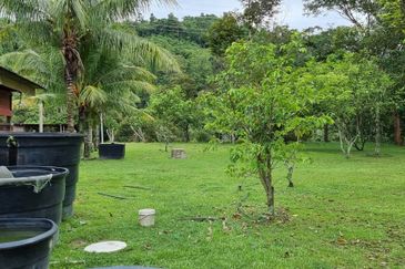 Tanah Kebun 3.02 Ekar Kampung Kapal, Lenggeng, Negeri Sembilan
