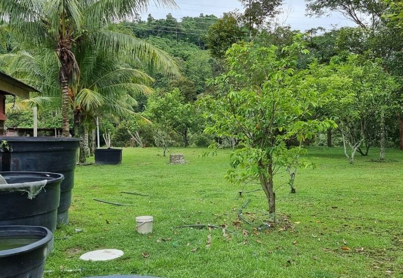 Tanah Kebun 3.02 Ekar Kampung Kapal, Lenggeng, Negeri Sembilan