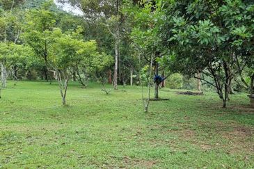 Tanah Kebun 3.02 Ekar Kampung Kapal, Lenggeng, Negeri Sembilan