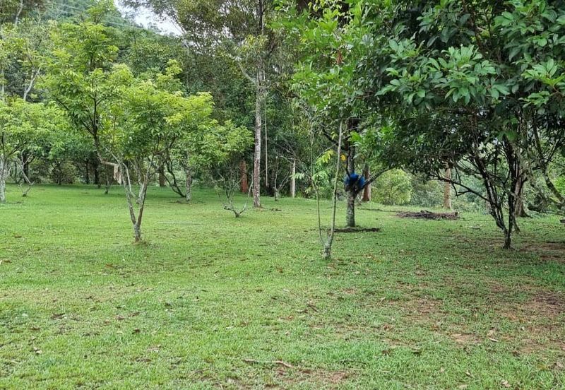 Tanah Kebun 3.02 Ekar Kampung Kapal, Lenggeng, Negeri Sembilan