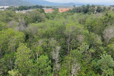 Tanah Lot Banglo Semenyih dekat Nottingham University