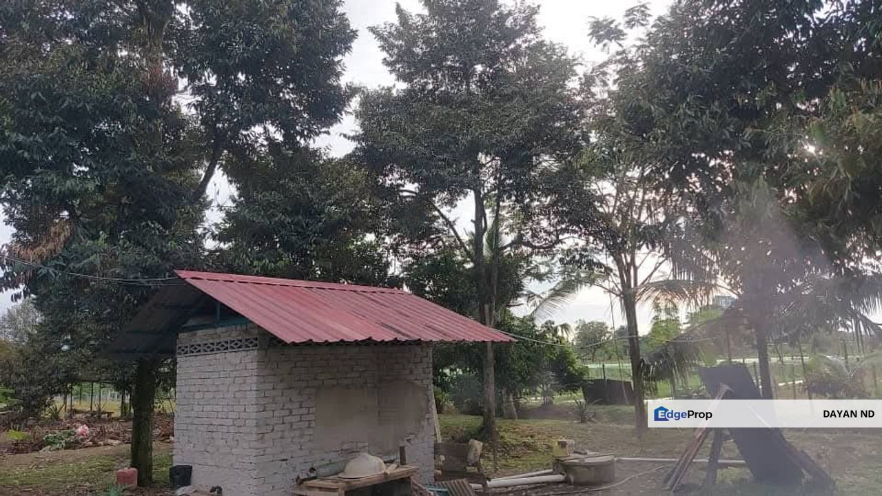 Kebun 1 Ekar Rezab Melayu Pulau Meranti Puchong, Selangor, Puchong South