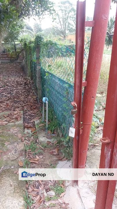Kebun 1 Ekar Rezab Melayu Pulau Meranti Puchong, Selangor, Puchong South