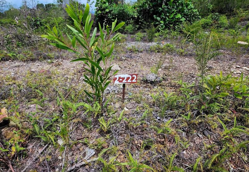 Bandar Bukit Mahkota