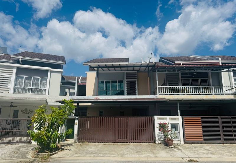 Begonia @ Serene Heights