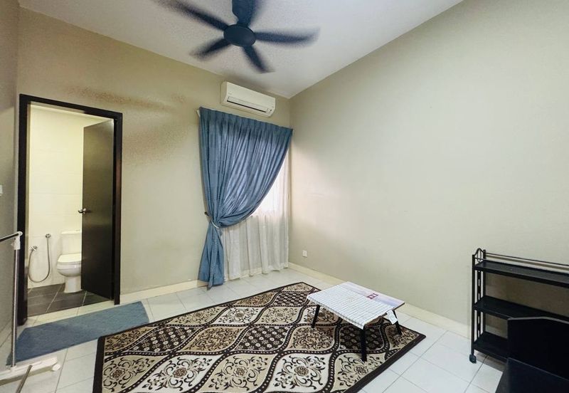 Begonia @ Serene Heights