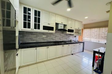 Begonia @ Serene Heights