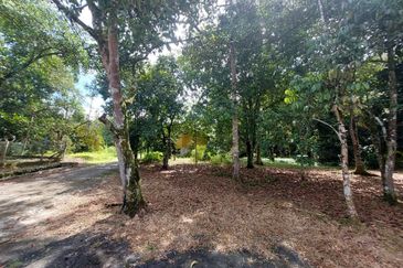 Tanah Pertanian Ada Akses Sesuai Utk Buat Kebun atau Glamping Site 