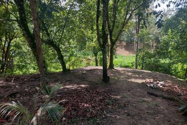 Tanah Pertanian Ada Akses Sesuai Utk Buat Kebun atau Glamping Site 