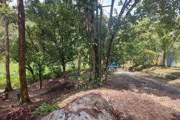 Tanah Pertanian Ada Akses Sesuai Utk Buat Kebun atau Glamping Site 