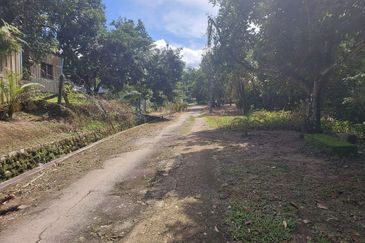 Tanah Pertanian Ada Akses Sesuai Utk Buat Kebun atau Glamping Site 