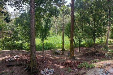 Tanah Pertanian Ada Akses Sesuai Utk Buat Kebun atau Glamping Site 