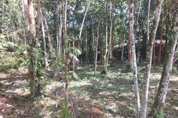 Tanah Pertanian Ada Akses Sesuai Utk Buat Kebun atau Glamping Site 