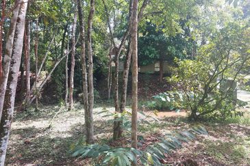 Tanah Pertanian Ada Akses Sesuai Utk Buat Kebun atau Glamping Site 