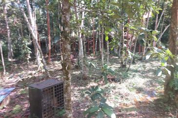 Tanah Pertanian Ada Akses Sesuai Utk Buat Kebun atau Glamping Site 