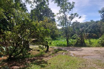 Tanah Pertanian Ada Akses Sesuai Utk Buat Kebun atau Glamping Site 