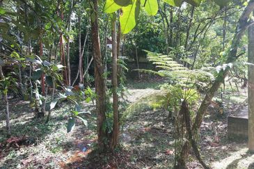 Tanah Pertanian Ada Akses Sesuai Utk Buat Kebun atau Glamping Site 