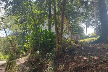 Tanah Pertanian Ada Akses Sesuai Utk Buat Kebun atau Glamping Site 