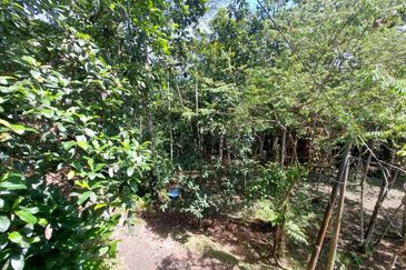 Tanah Pertanian Ada Akses Sesuai Utk Buat Kebun atau Glamping Site 