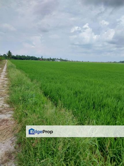 UNTUK DIJUAL: TANAH SAWAH PARIT 9, SUNGAI BESAR, SELANGOR, Selangor, Sabak Bernam
