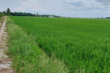 Tanah Sawah Parit 9, Sungai Besar, Selangor