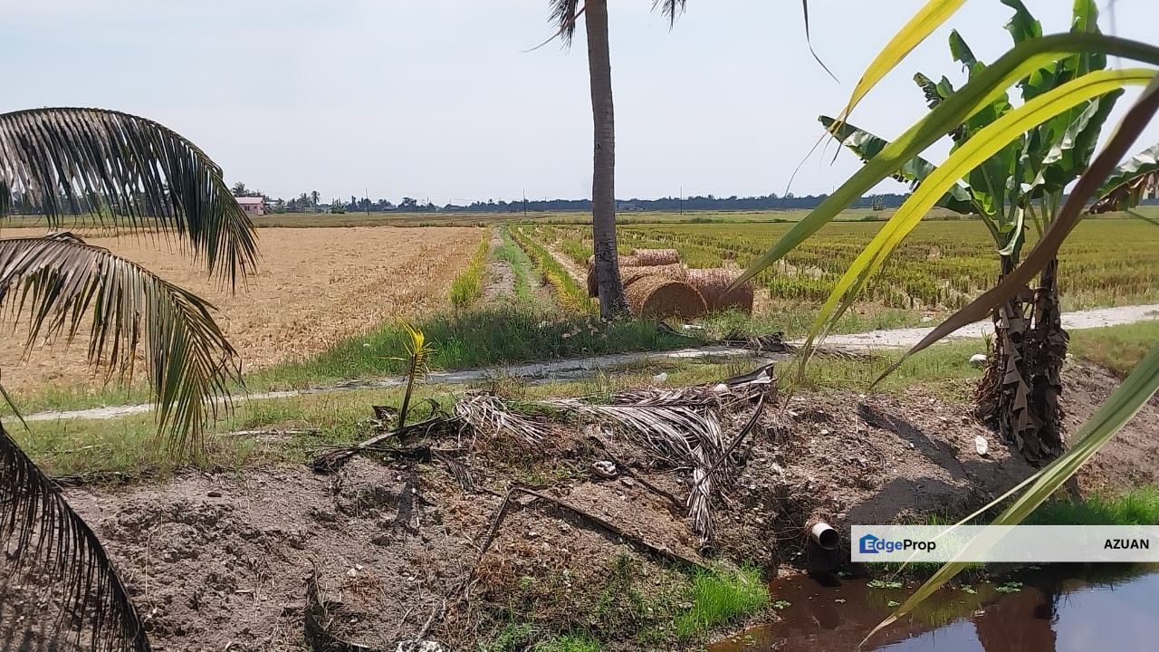 AGRICULTURE LAND PARIT 9 SUNGAI BESAR, Selangor, Sabak Bernam