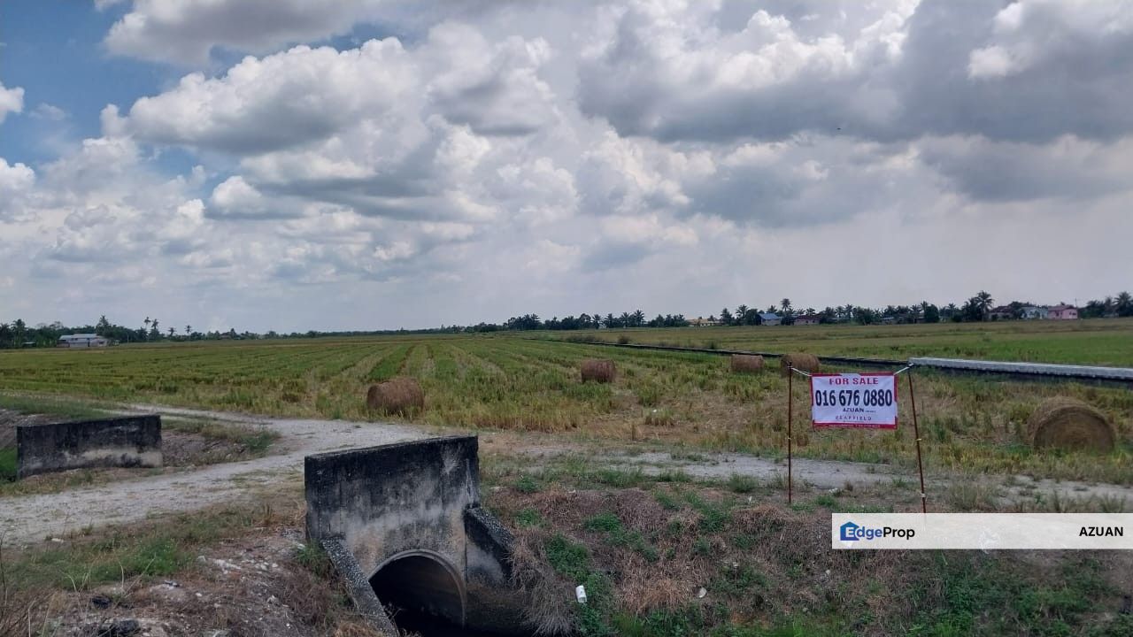 AGRICULTURE LAND PARIT 9 SUNGAI BESAR, Selangor, Sabak Bernam