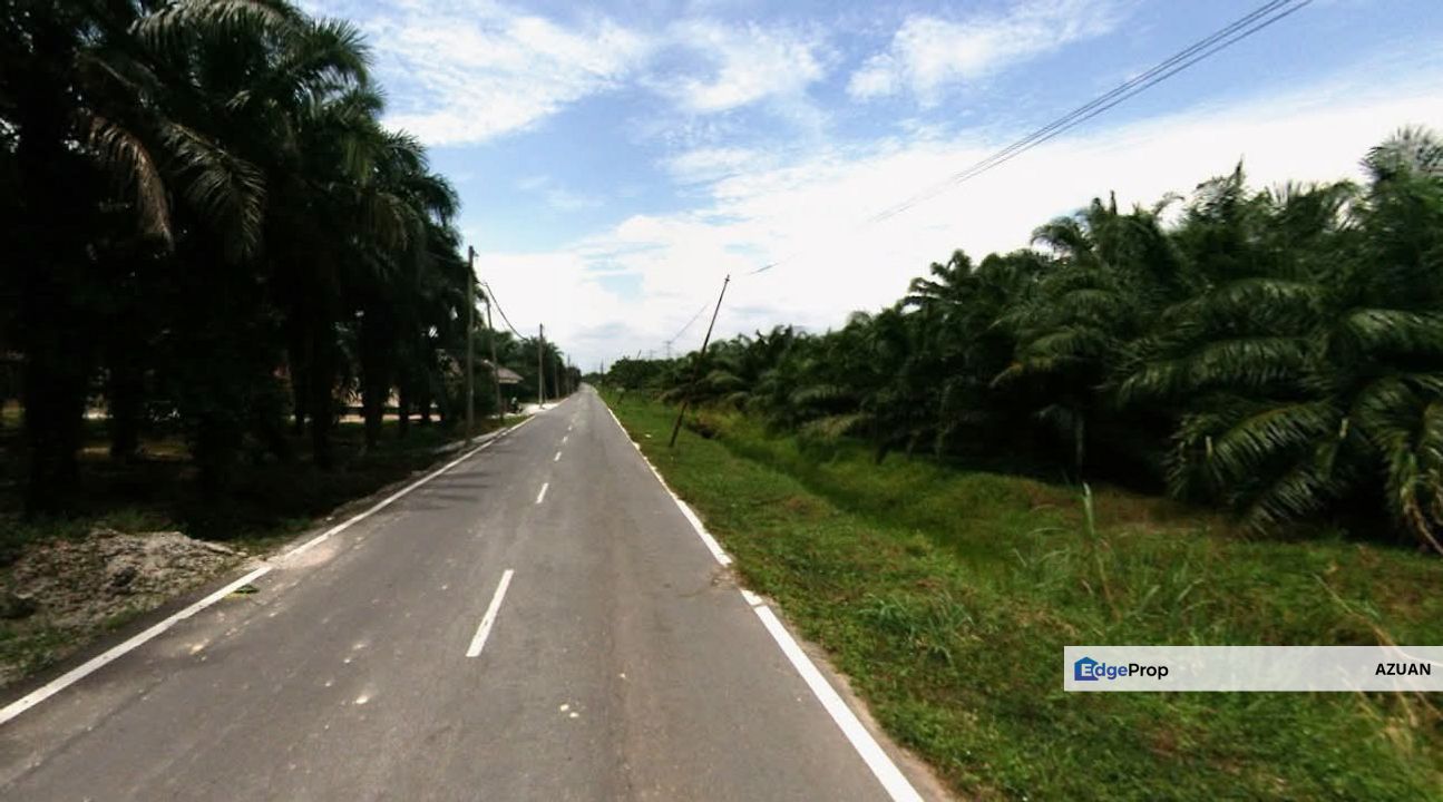 Tanah Pertanian Kampung Olak Lempit, Banting, Selangor, Selangor, Banting