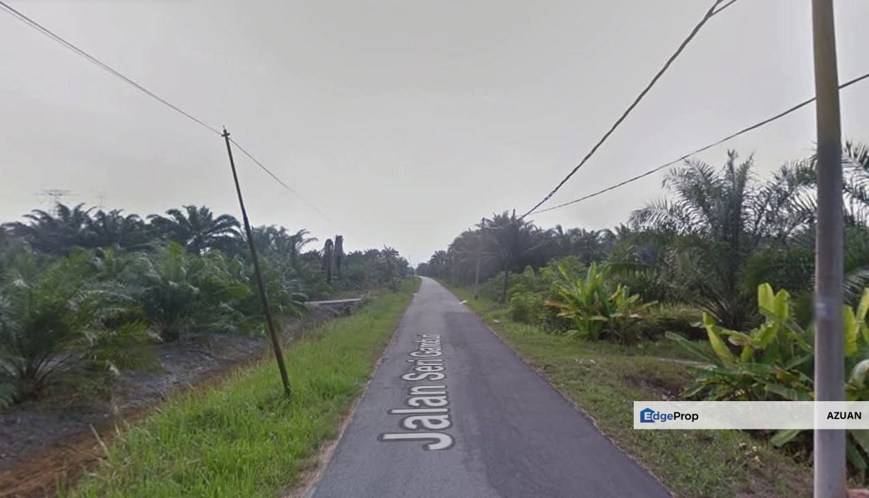 Tanah Pertanian Kampung Olak Lempit, Banting, Selangor, Selangor, Banting