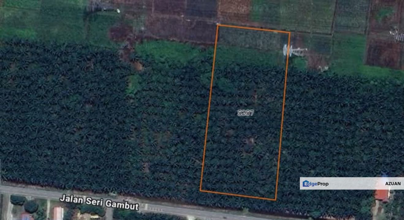 Tanah Pertanian Kampung Olak Lempit, Banting, Selangor, Selangor, Banting