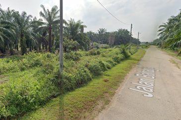 1.4 Acre Agriculture Land Parit Mahang, Ijok Selangor