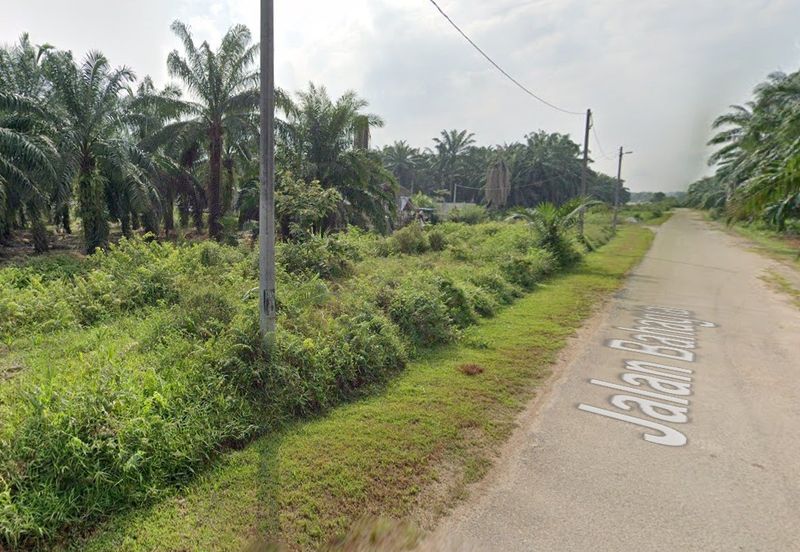 1.4 Acre Agriculture Land Parit Mahang, Ijok Selangor