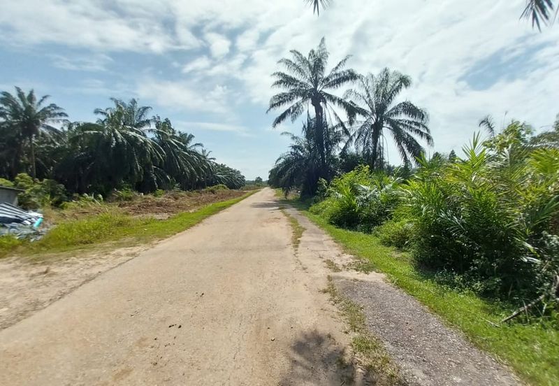 1.4 Acre Agriculture Land Parit Mahang, Ijok Selangor