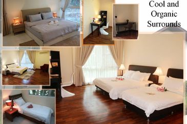 IOI Beverly Row @ IOI Resort City