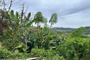 Agriculture Land for Sell @ Kuala Pilah