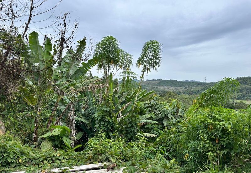 Agriculture Land for Sell @ Kuala Pilah