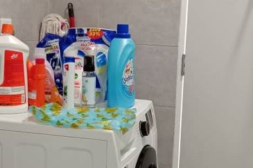 Cubic Botanical (Residensi Rimba)