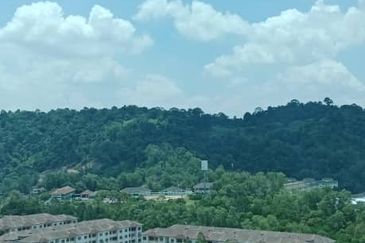 The Cruise Residence