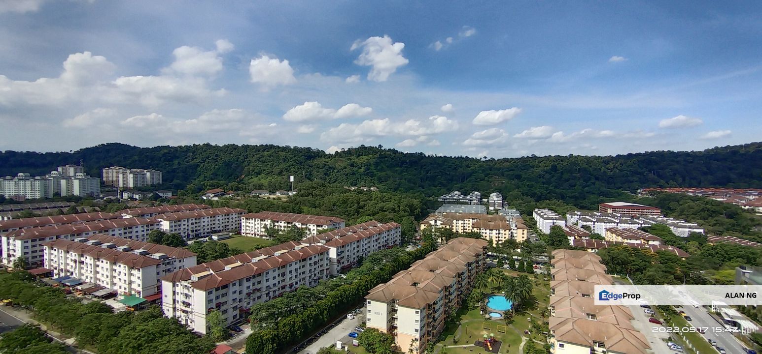 THE CRUISE RESIDENCE FOR RENT, Selangor, Bandar Puteri Puchong