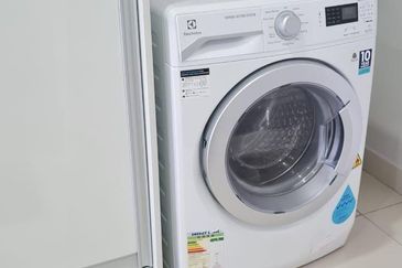 Cyperus @ Tropicana Gardens