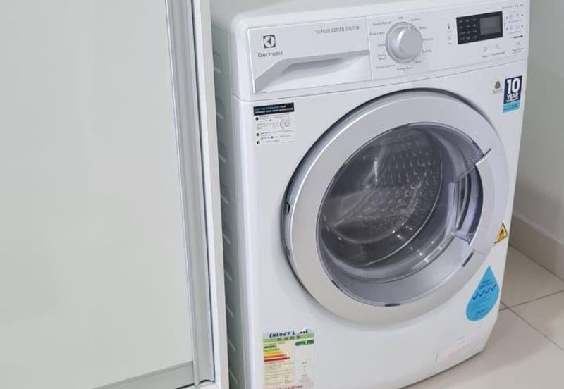 Cyperus @ Tropicana Gardens