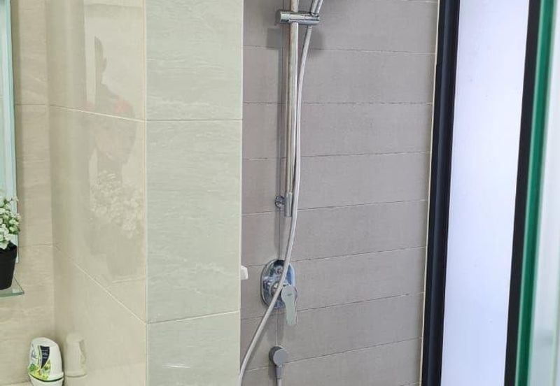 Cyperus @ Tropicana Gardens