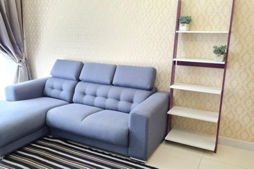 Cyperus @ Tropicana Gardens