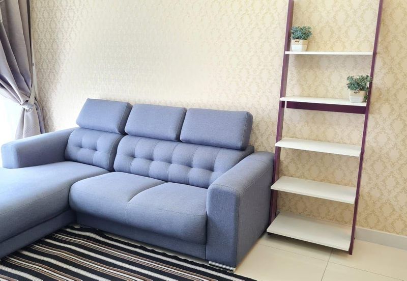 Cyperus @ Tropicana Gardens