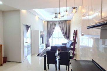 Cyperus @ Tropicana Gardens